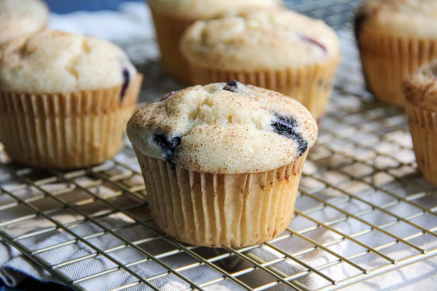The Best Blueberry Muffins ~ Eclipse Baking